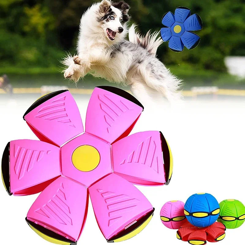 Dog Magic Deformation Flat Throw Disc Ball Pet Supplies