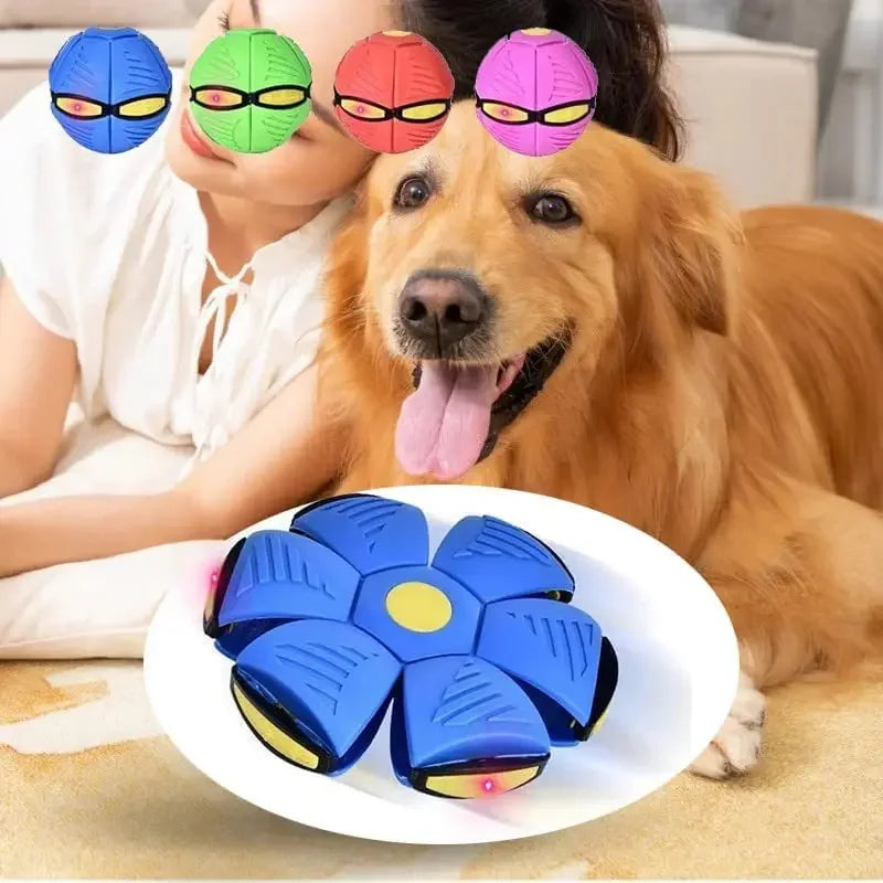 Dog Magic Deformation Flat Throw Disc Ball Pet Supplies